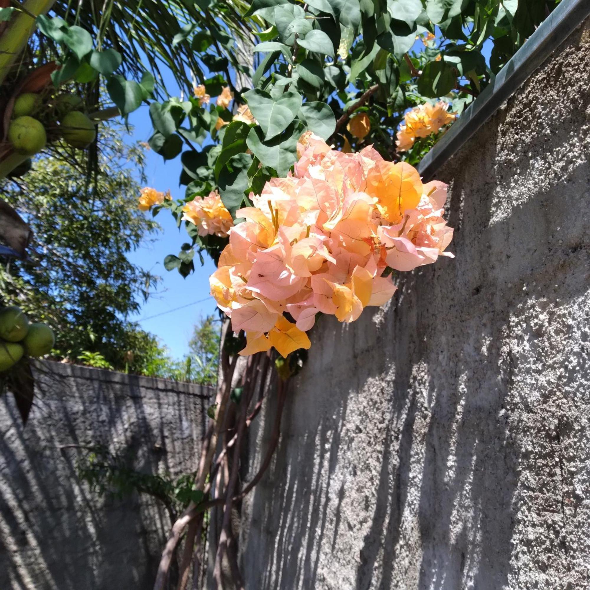 Casa China & Silva, Otima Casa Para Praia Ou Descanso, Proximo As Dunas Da Sabiaguaba E Shoppings Em Eusebio E Fortaleza Ce Eksteriør billede